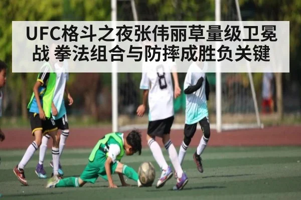UFC格斗之夜张伟丽草量级卫冕战 拳法组合与防摔成胜负关键